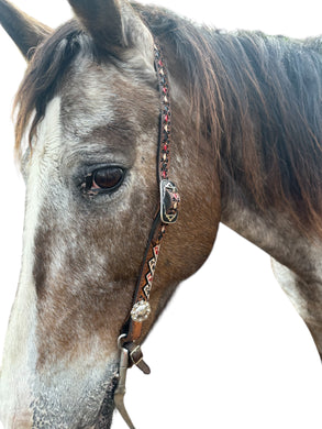 Four aces Hand painted and tooled  leather Headstall horse size