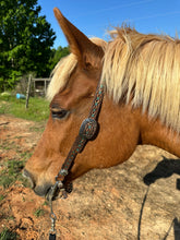 Hand painted and tooled  leather Headstall horse size