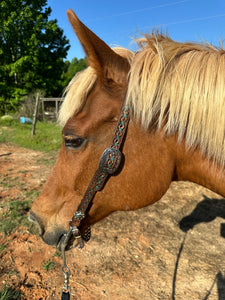 Hand painted and tooled  leather Headstall horse size