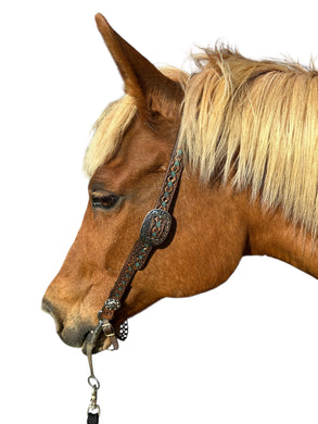 Hand painted and tooled  leather Headstall horse size
