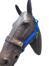 PERSONALIZED   nylon horse halter blue.