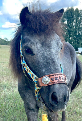 PERSONALIZED   nylon pony or miniature horse  halter many different patterns and colors!