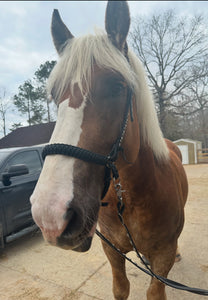 Black side pull hackamore  bitless attachment “with a whoa”...all sizes