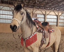 Vegas nylon fringe breast collar with red leather fringe and a wither strap.