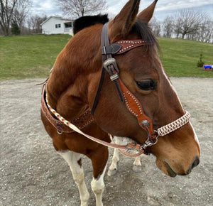 Desert tan  side pull hackamore  bitless attachment “with a whoa”.... with black or  brown chinstrap...all sizes