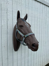 Bright paisley nylon horse halter