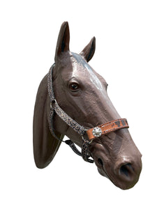 PERSONALIZED  cheetah nylon horse halter