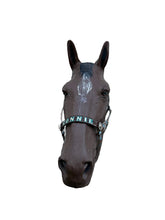 PERSONALIZED western  nylon horse halter