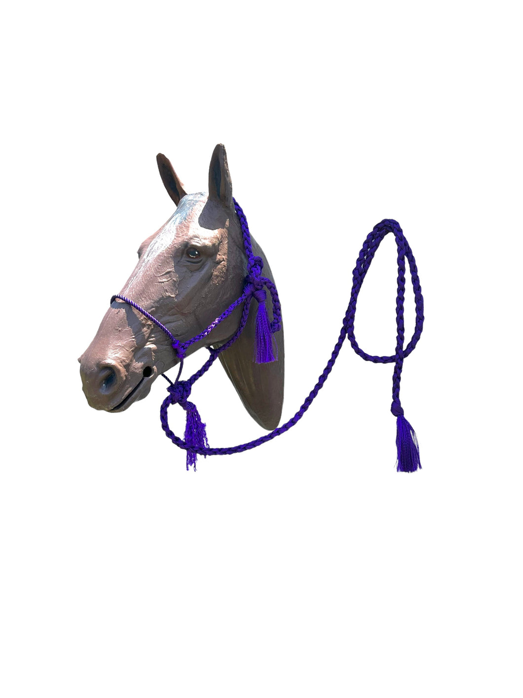Lariat mule tape horse halter with lead purple