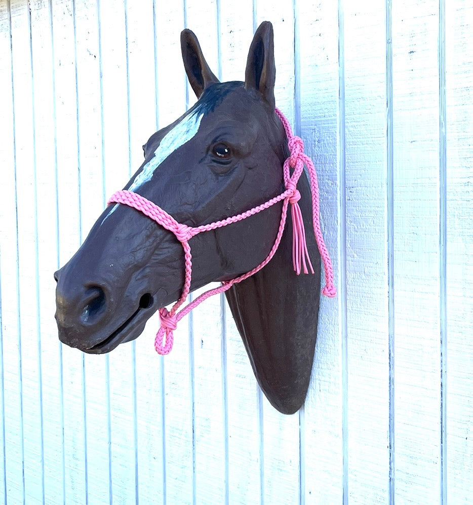 Braided horse halter with flat noseband