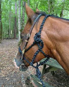 Black Braided mule tape horse halter with lead … flat noseband