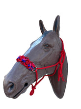 Braided horse halter red