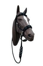 complete Bitless bridle side pull hackamore with turquoise howlite in my beaded  style