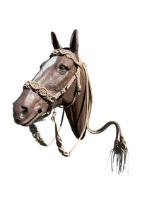 Horse Bitless bridle and matching split reins with fancy braided side pull hackamore