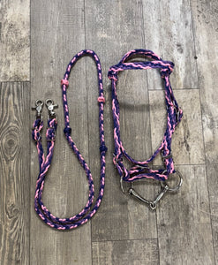 Pony bridle, bit, and reins