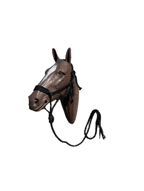 Black Braided mule tape horse halter with flat noseband