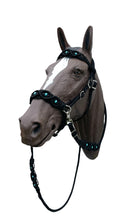 complete Bitless bridle side pull hackamore with turquoise howlite in my beaded  style