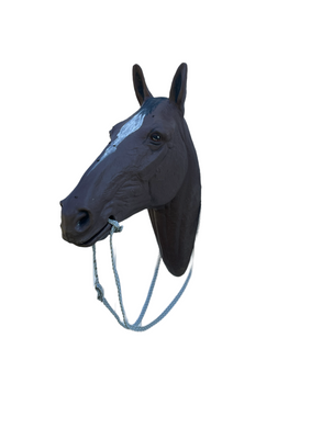 War bridle with buckle chinstrap and reins