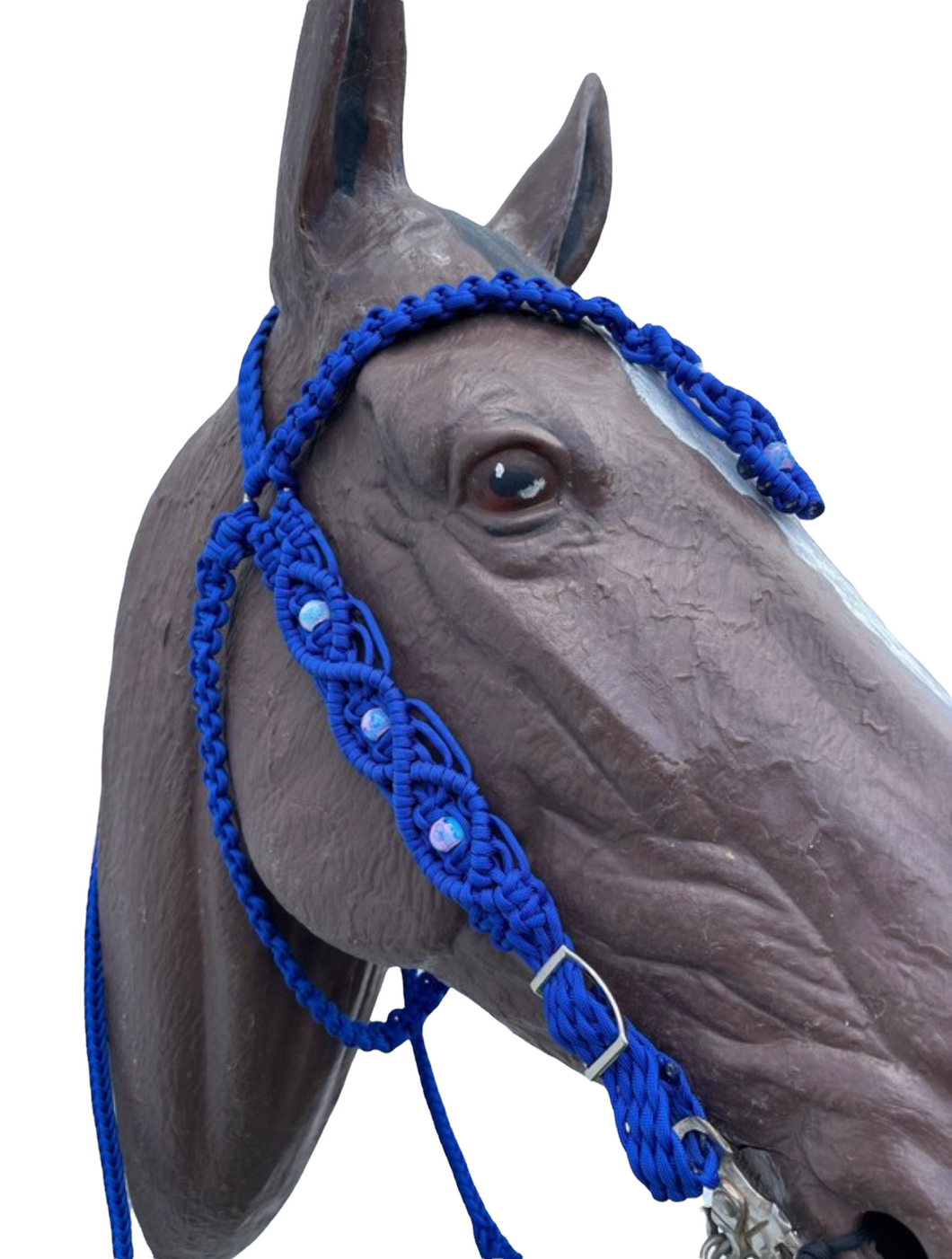 Electric blue Beaded Browband Headstall with a fancy braided browband all sizes.