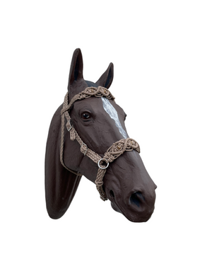 Horse Bitless bridle with fancy braided side pull hackamore