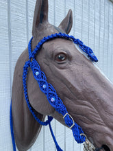 Electric blue Beaded Browband Headstall with a fancy braided browband all sizes.