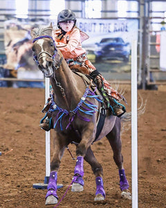 Average horse breast collar mule tape  blue and purple