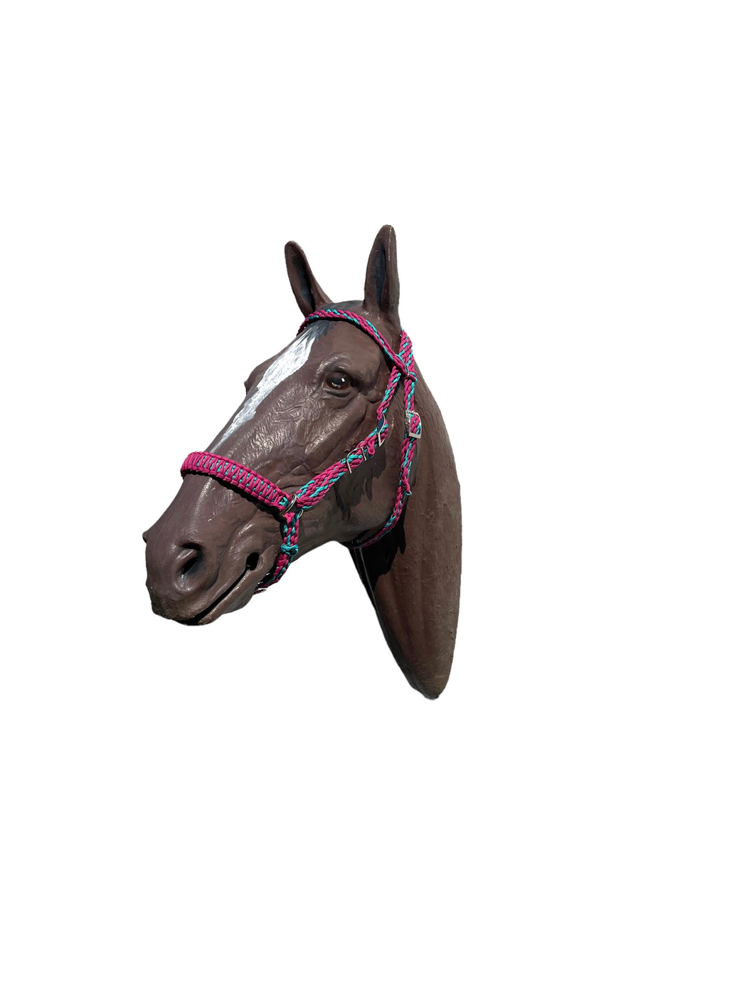 complete Bitless bridle side pull hackamore in fuchsia and green turquoise