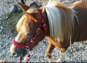 complete bitless bridle side pull with a whoa red and black …pony, Cob, Horse or Draft horse size
