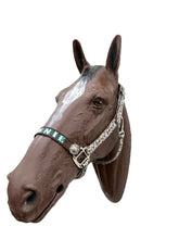PERSONALIZED Cow print nylon horse halter