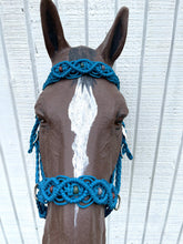 Side Pull Hackamore with labradorite braided into a fancy noseband bitless attachment all sizes SOLID COLOR