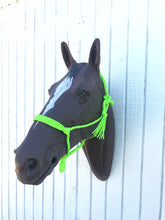 Braided horse halter